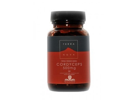 TERRA NOVA CORDICEPS 500mg 50 cápsulas vegetarianas. ADEQUADO PA