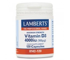 Lamberts Vitamin D3 120 Kapseln 4000UI 