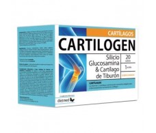 DIETMED CARTILOGEN 20 шт.