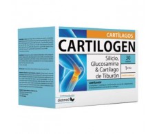 DIETMED CARTILOGEN 30 envelopes.