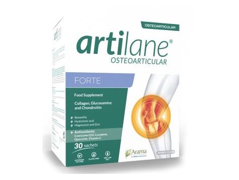 ARTILANE ФОРТЕ 30сбрс.