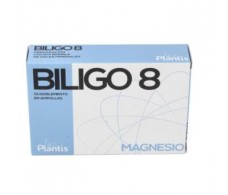 BILIGO 08 (Magnesio) 20amp ARTESANIA