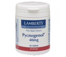 Lamberts Pycnogenol 40mg. 60 Kapseln