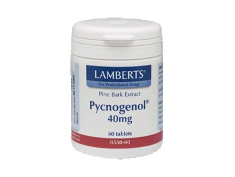 Lamberts Pycnogenol 40mg. 60 capsulas. Extracto de Pino Bark