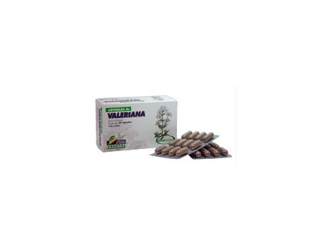 Valerian 60 Kapseln. Soria Natural S34