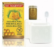 Marnys Geléia Real Pura 10gr.