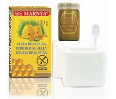 Marnys Geléia Real Pura 10gr/frasco.