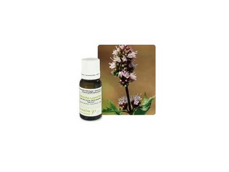 Pranarom Bio Peppermint Essential Oil 5ml.